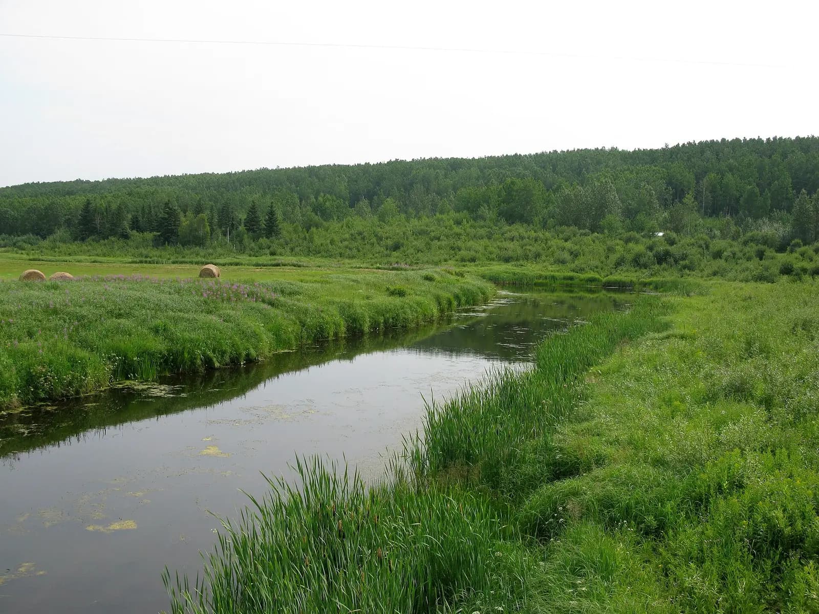 Amisk River, south of Lac La Biche, Alberta.