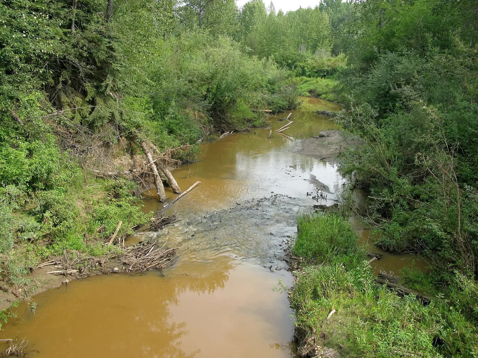 Assineau River, near Lesser Slave Lake.