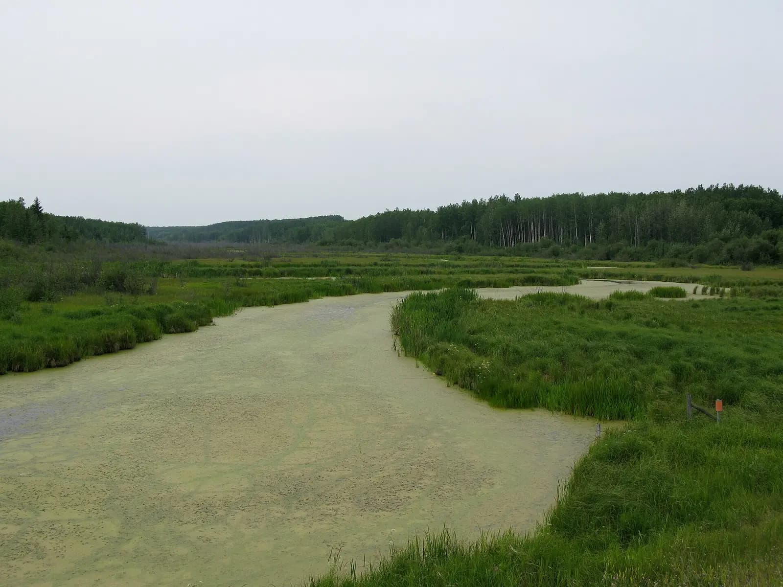 Beaver River, south of Lac La Biche, Alberta