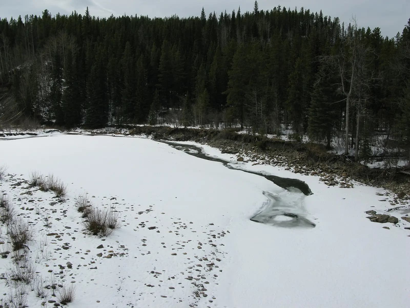 The Blackstone River, seen from Alberta Highway 40.