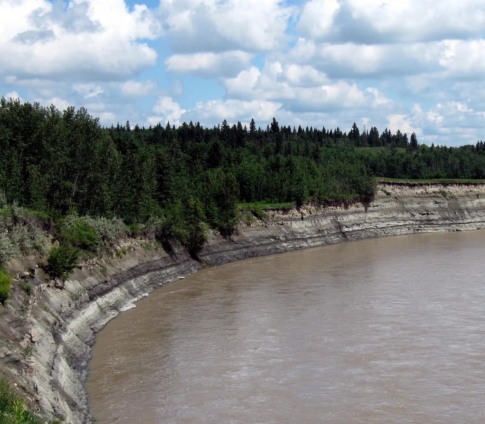 Mudstones and siltstones of the Paskapoo Formation (Lacombe Member) exposed along the Red Deer River, downstream from the confluence with the Blindman River, near Red Deer, Alberta, Canada.