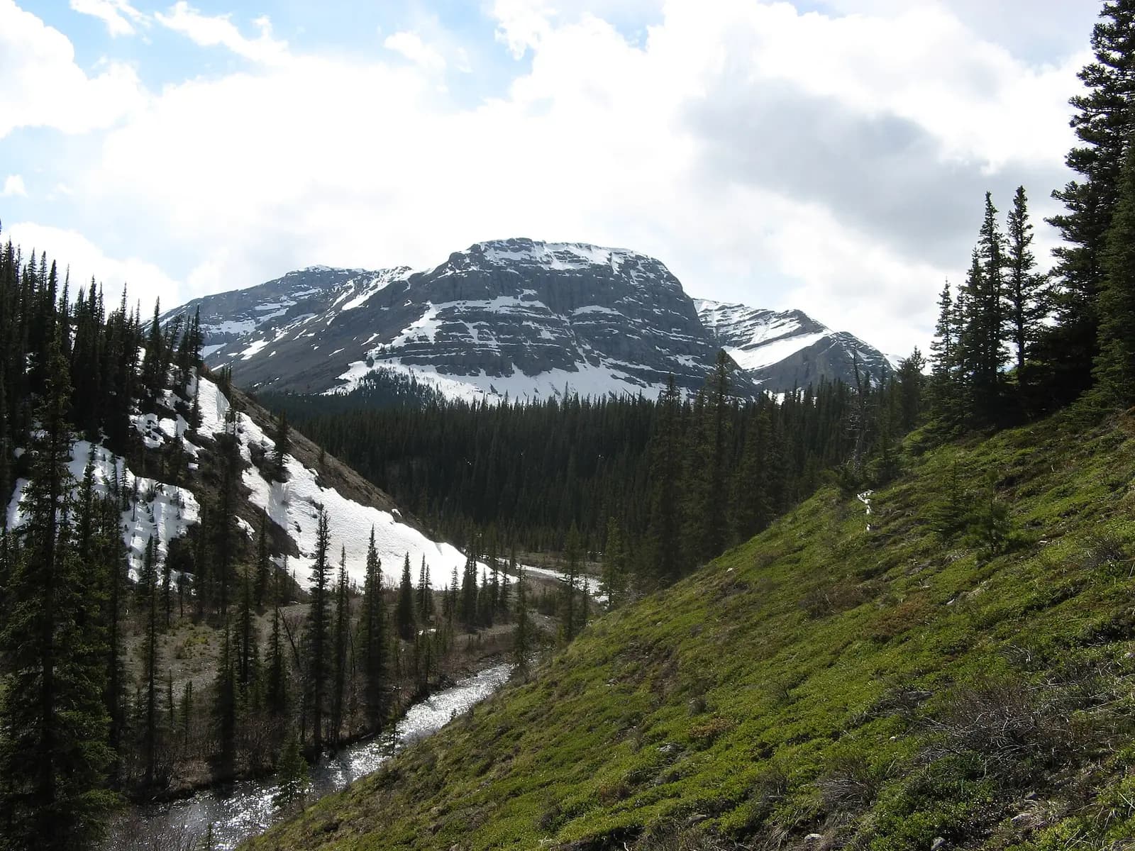 Cardinal River flowing east through the Nikanassin Range, Alberta, Canada.