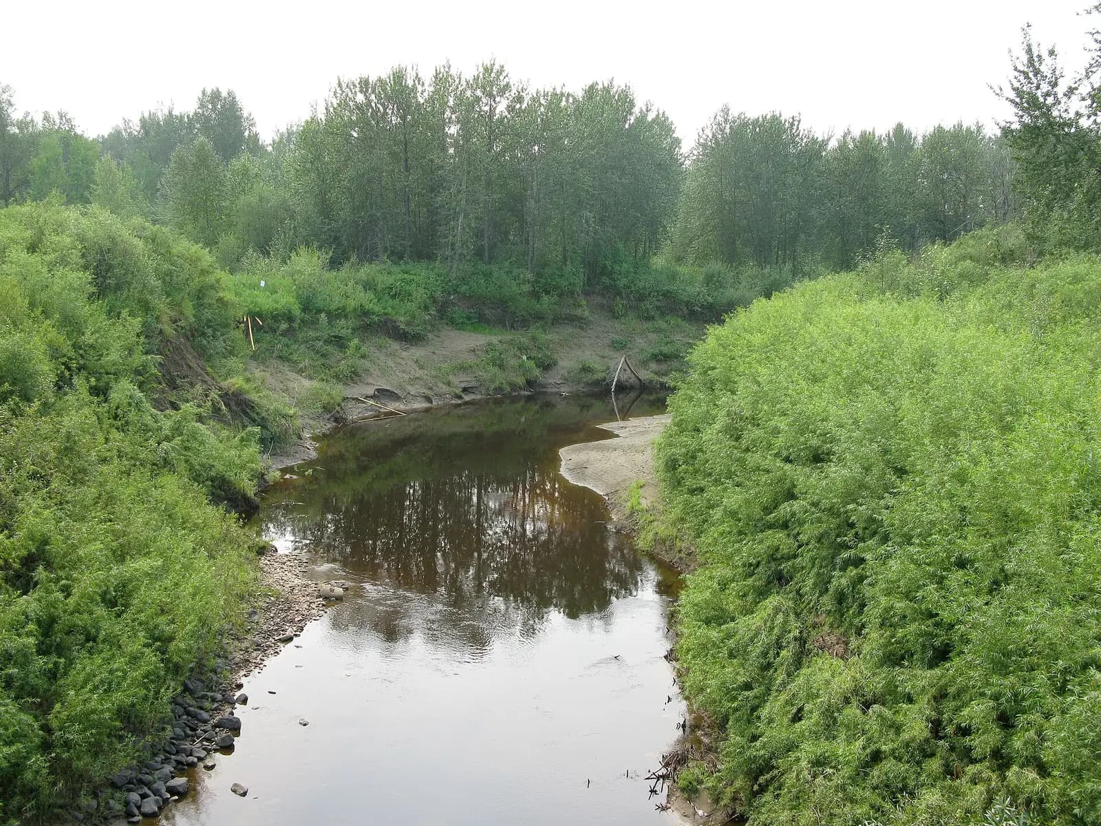 Driftpile River, near Lesser Slave Lake, Alberta.