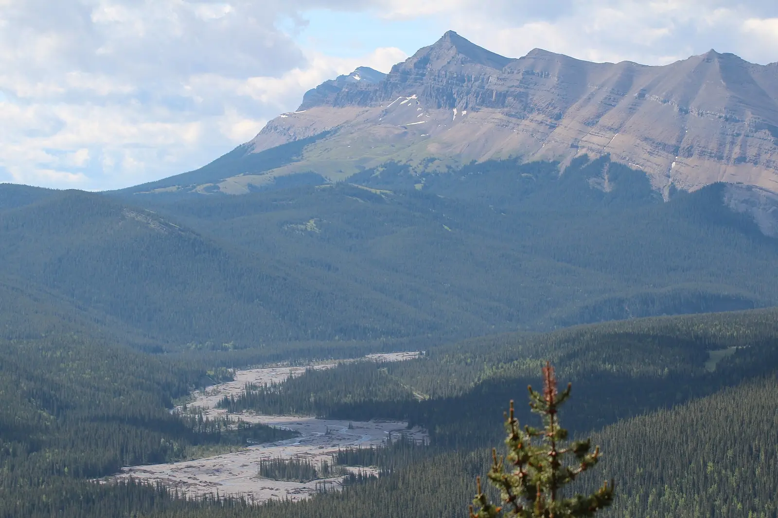 From Ford Knoll looking south down the Elbow river. that river size is its normal size the wide wiped clean area was all done in a couple of days in the foods 2 years ago on this day. last day of spri