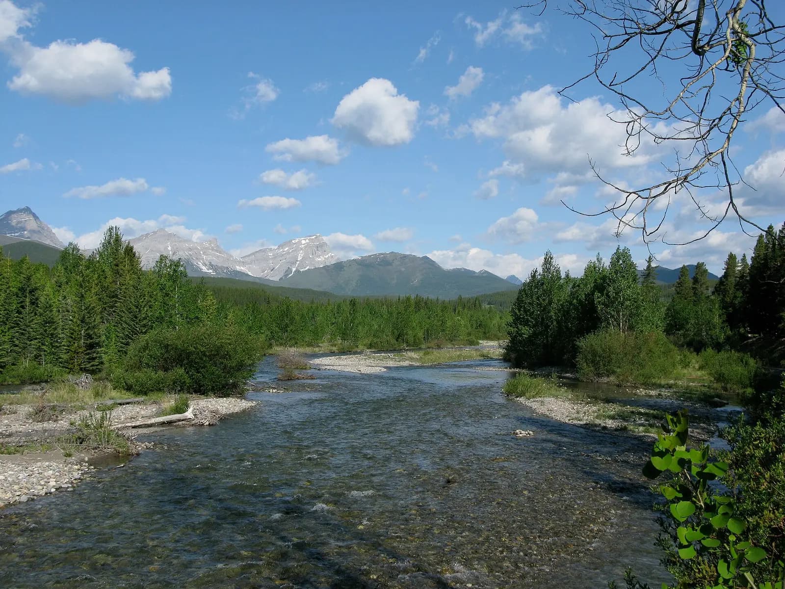 Highwood River, near Highwood Pass, in Kananaskis Country, Alberta.