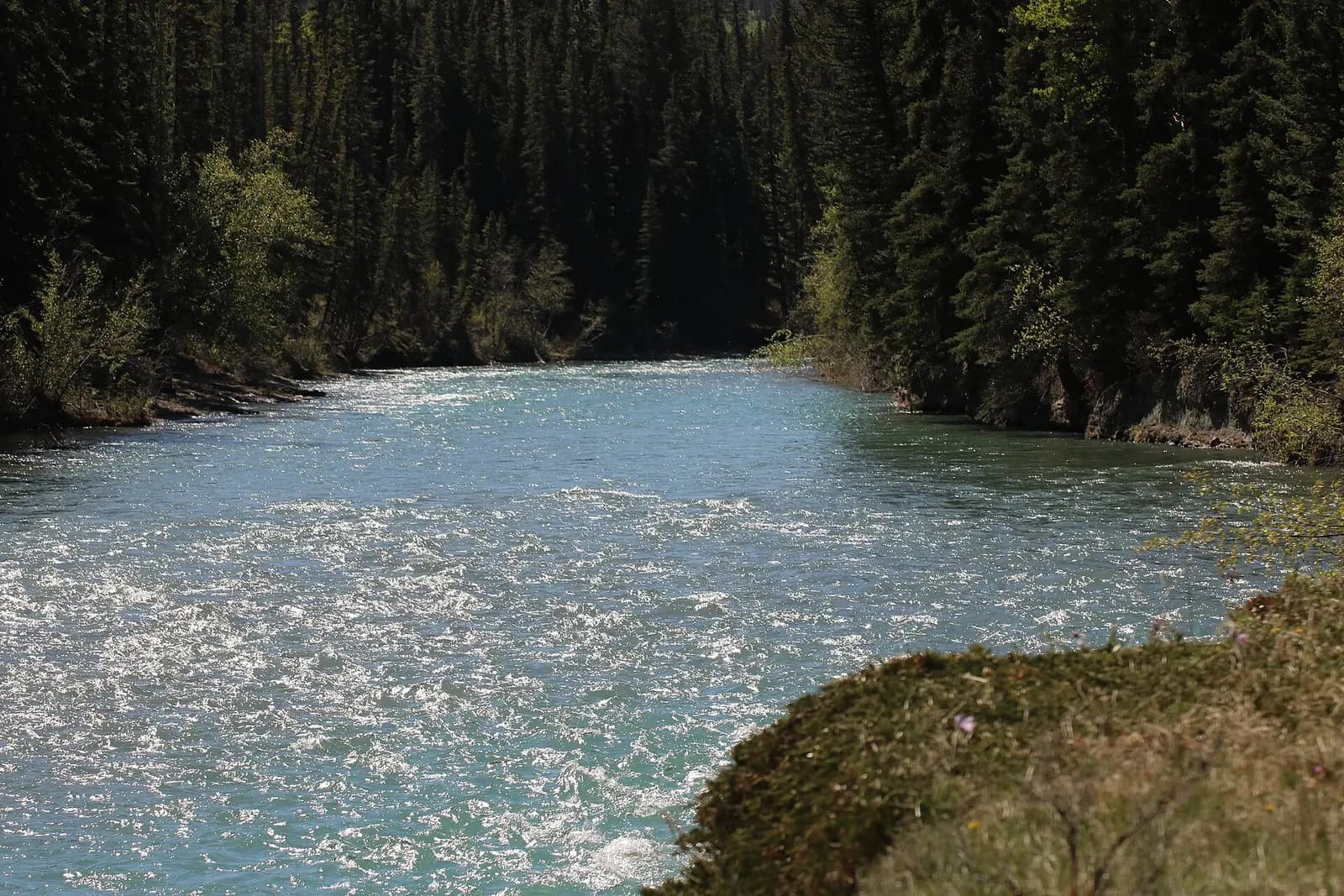 Several shots from my hike up the kananaskis river today , it sure did change alot down here after the floods of 2013