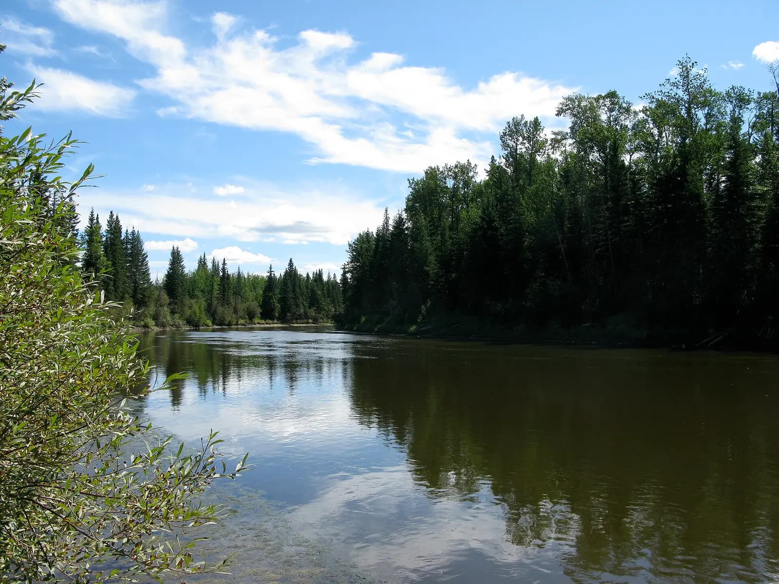 Lesser Slave River, near Slave Lake, Alberta.