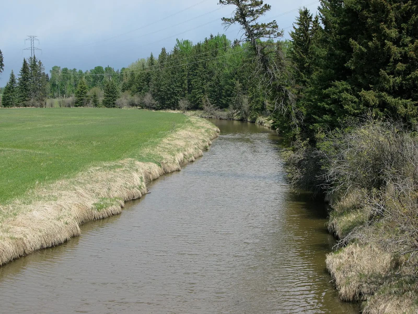 Medicine River from AB Highway 53