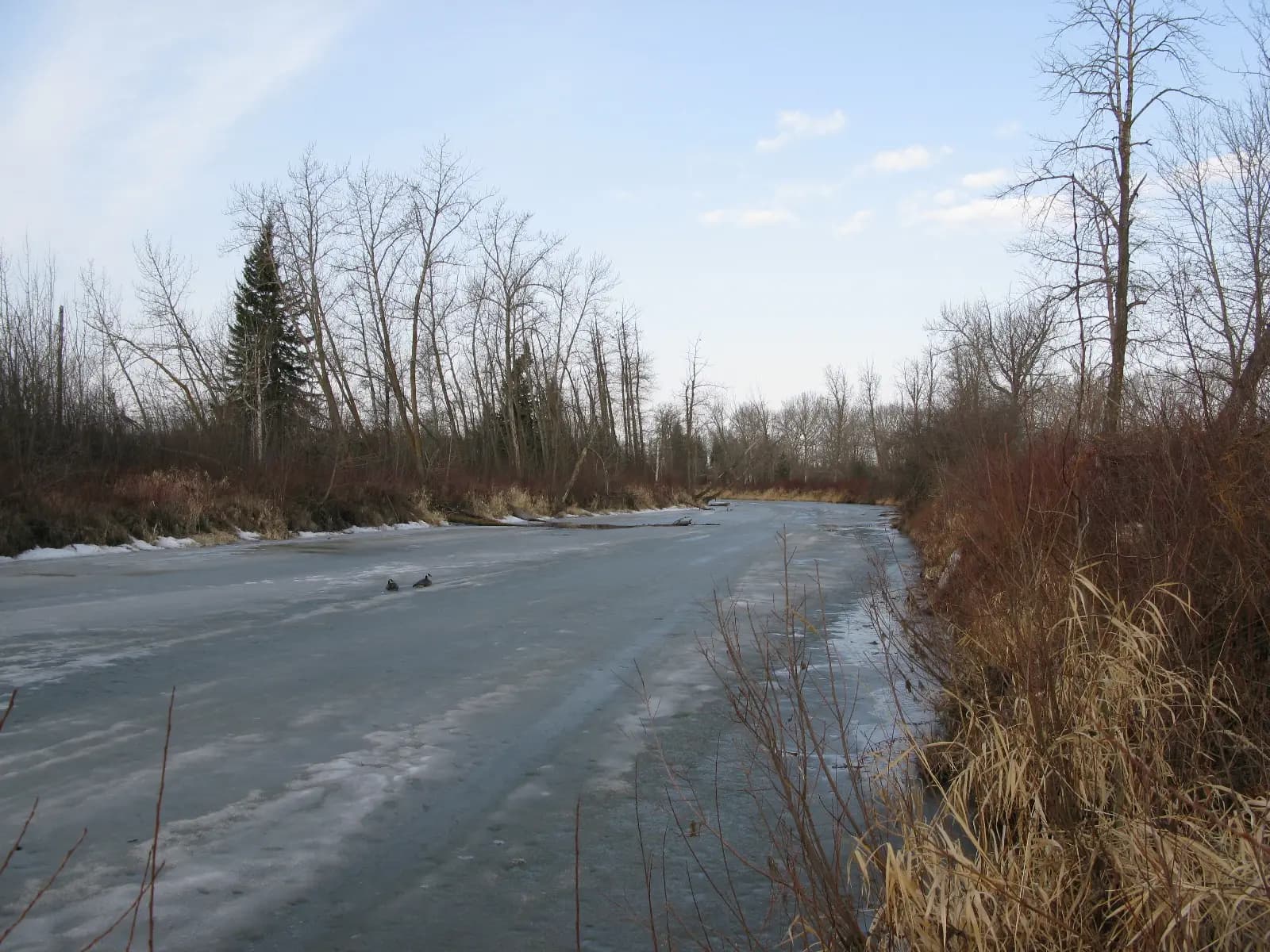 The Paddle River near Barrhead, Alberta.