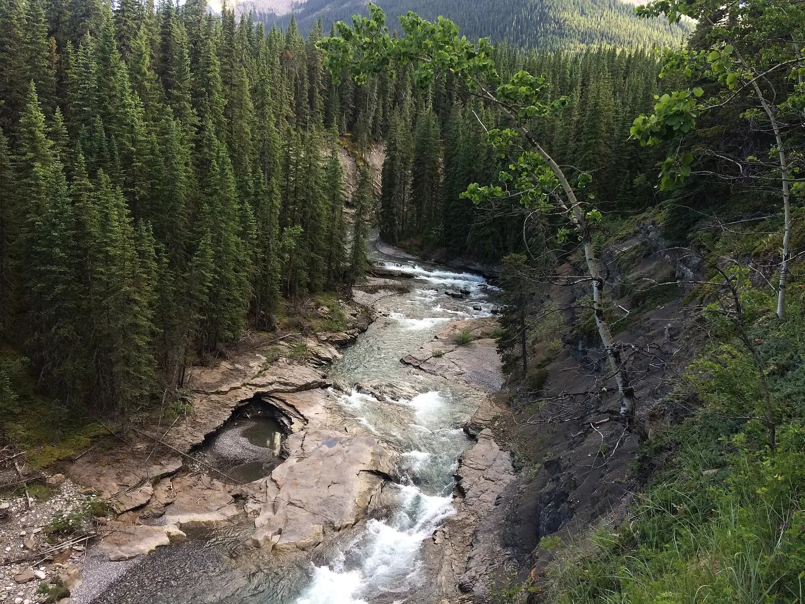 The mighty Sheep River as it flows through the Rocky Mountains of Alberta.